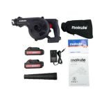 Souffleur sans fil 20V Avec 2 batteries et chargeur