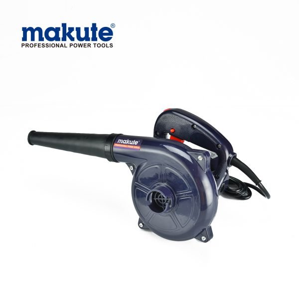 Souffleur électrique portatif 600W