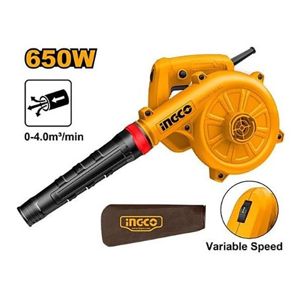 Souffleur 650W NR