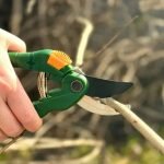 Ensemble De Cisailles De Jardin De 3 Pièces JDPR3E03